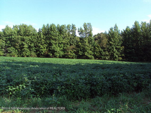 0 Baker Road Batesville, MS 38606 - Photo 5 of 13 DSC06922