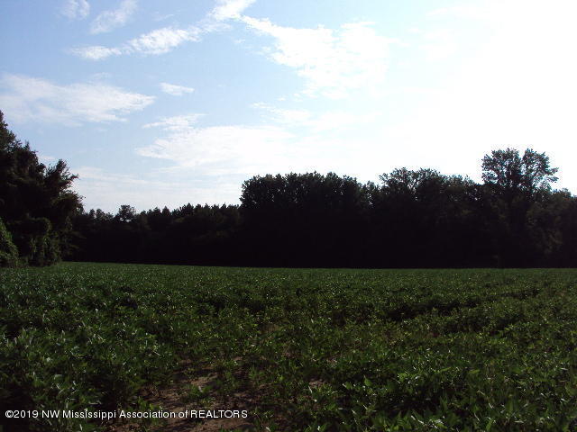 0 Baker Road Batesville, MS 38606 - Photo 6 of 13 DSC06928