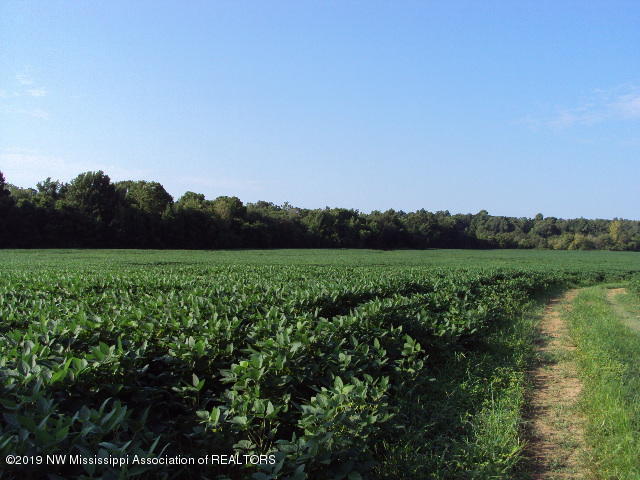 0 Baker Road Batesville, MS 38606 - Photo 7 of 13 DSC06921