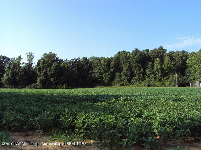 0 Baker Road Batesville, MS 38606 - Photo 8 of 13 DSC06927