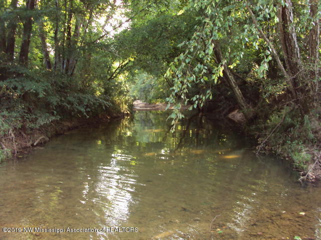 0 Baker Road Batesville, MS 38606 - Photo 10 of 13 DSC06926