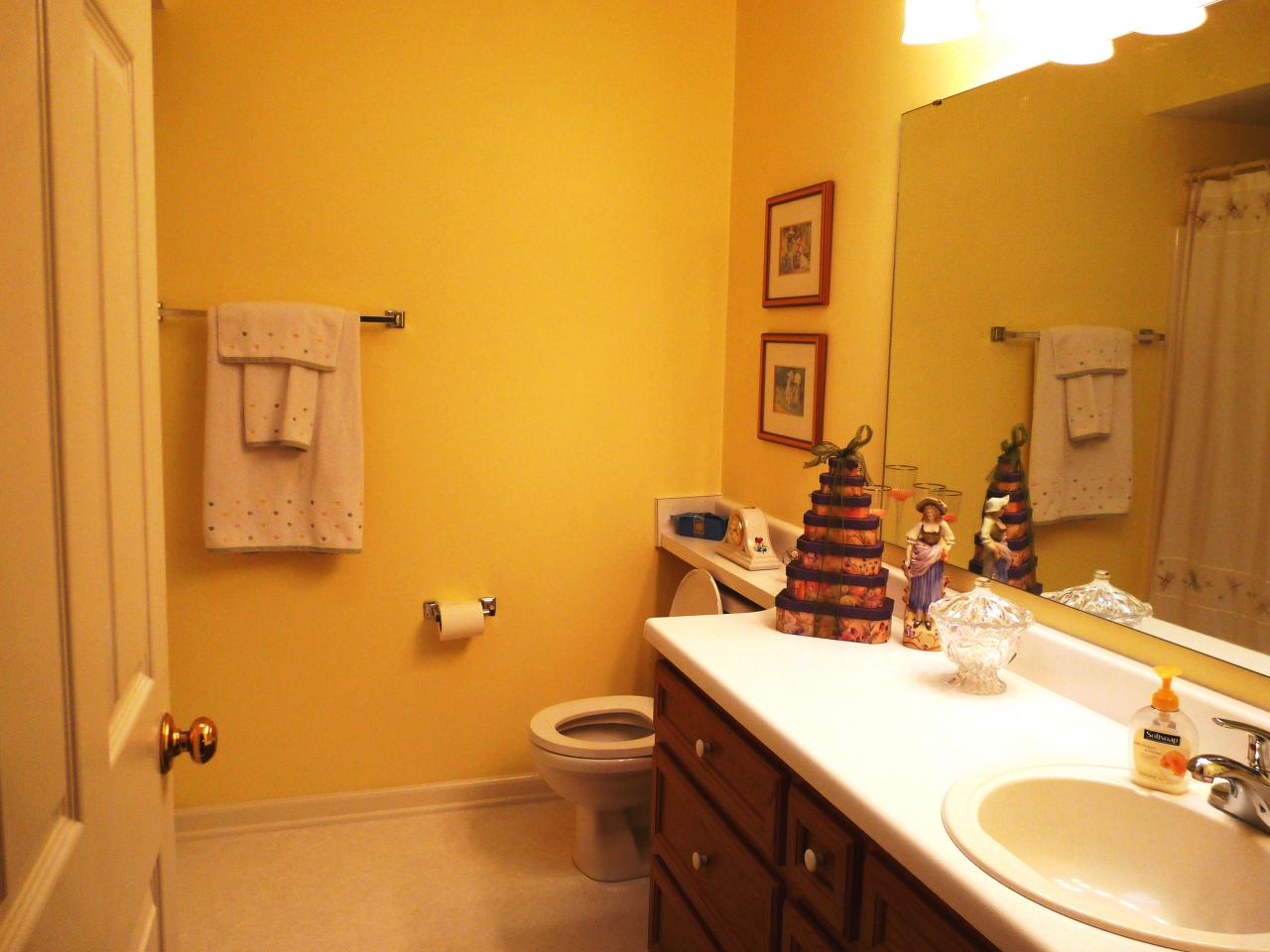 194 Jay Ridge Road Cloverdale, VA 24077 - Photo 8 of 17 Master Bathroom