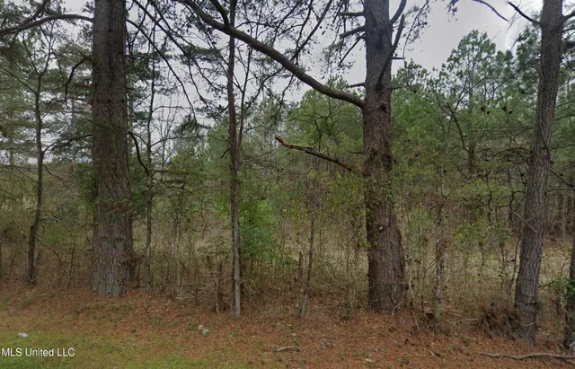 $38,000 | Sleepy Hollow Road, Terry, MS 39170