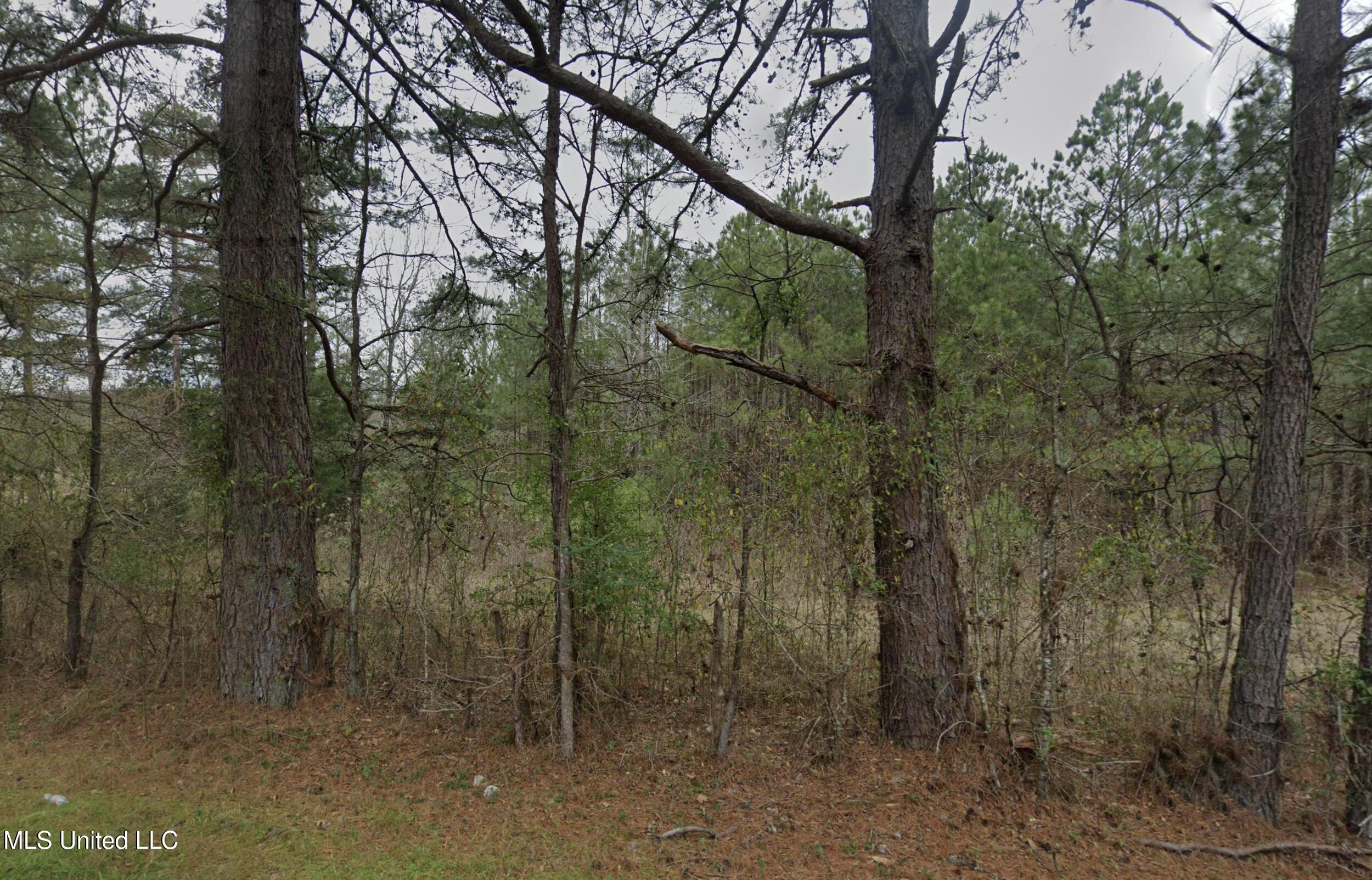 3 Acre Lot