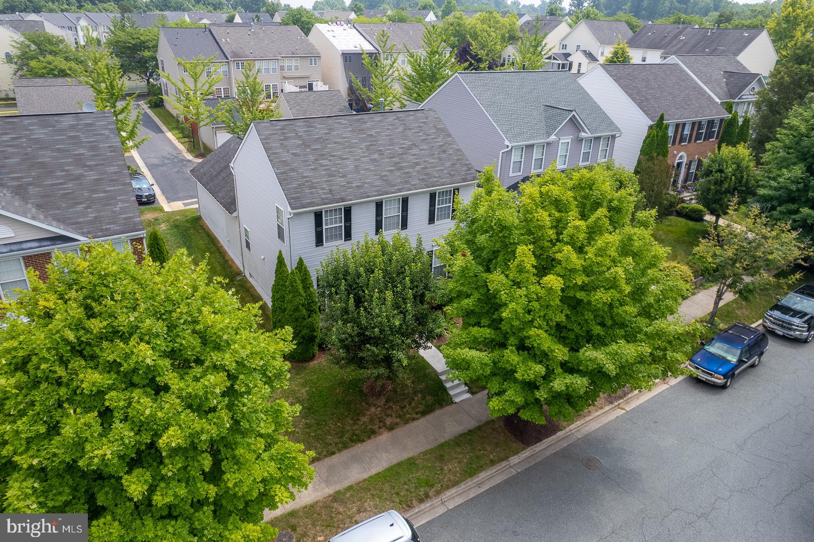 19504 Bowman Ridge Drive Germantown, MD 20874 - Photo 3 of 33 Nice mature landscaping