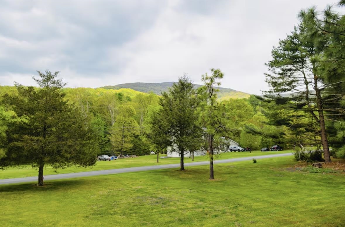 4064 Pine Grove Road Stanley, VA 22851 - Photo 7 of 35