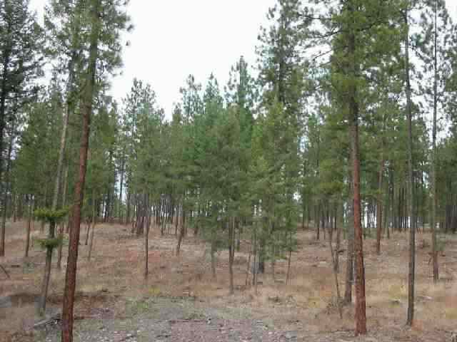 4 Kitt-Narcisse Road Colville, WA 99114 - Photo 1 of 3