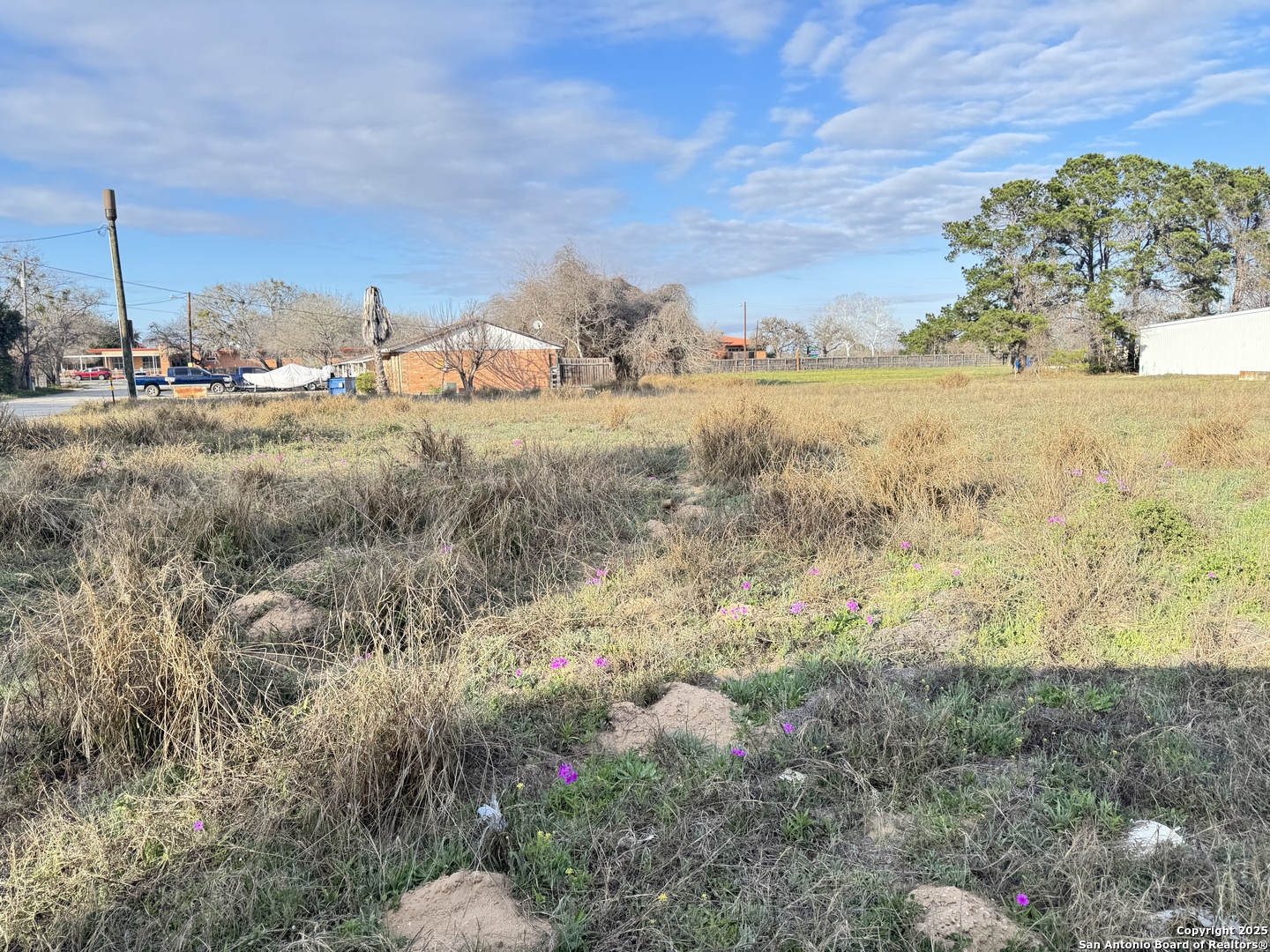 0 School Street Pleasanton, TX 78064 - Photo 3 of 5 a view of beach and ocean