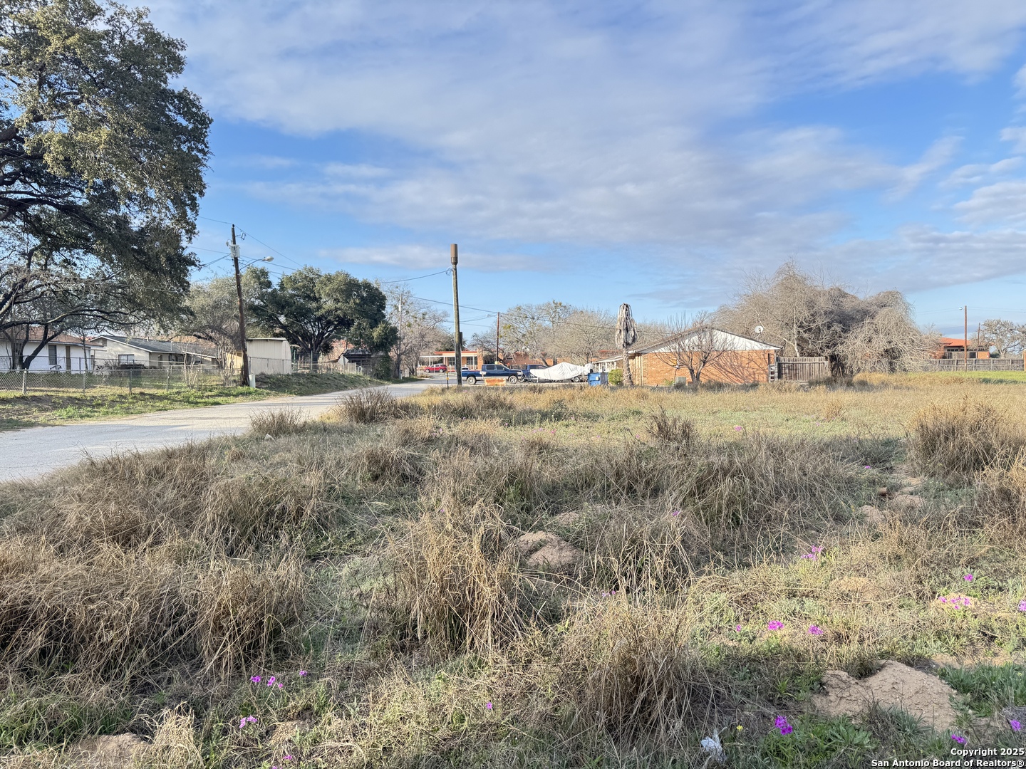 0 School Street Pleasanton, TX 78064 - Photo 4 of 5 a view of a dry yard with wooden fence