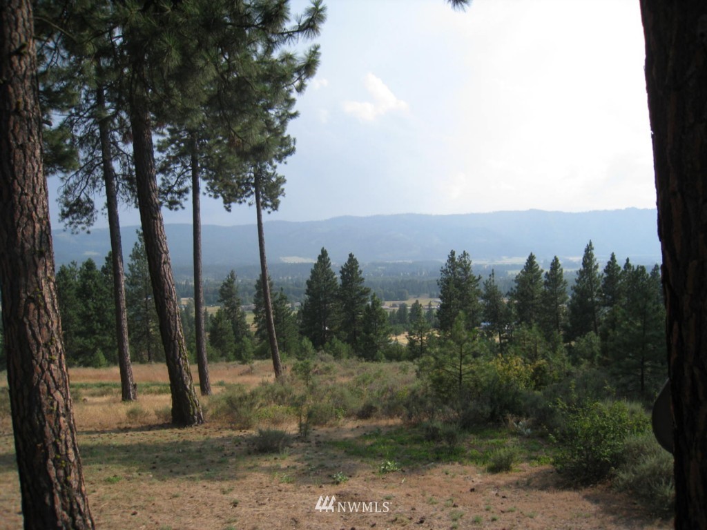 170 Powerline Road Cle Elum, WA 98922 - Photo 15 of 15 Gallery Image 15
