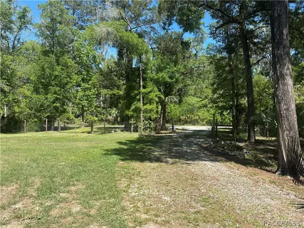 a view of a yard with plants and trees