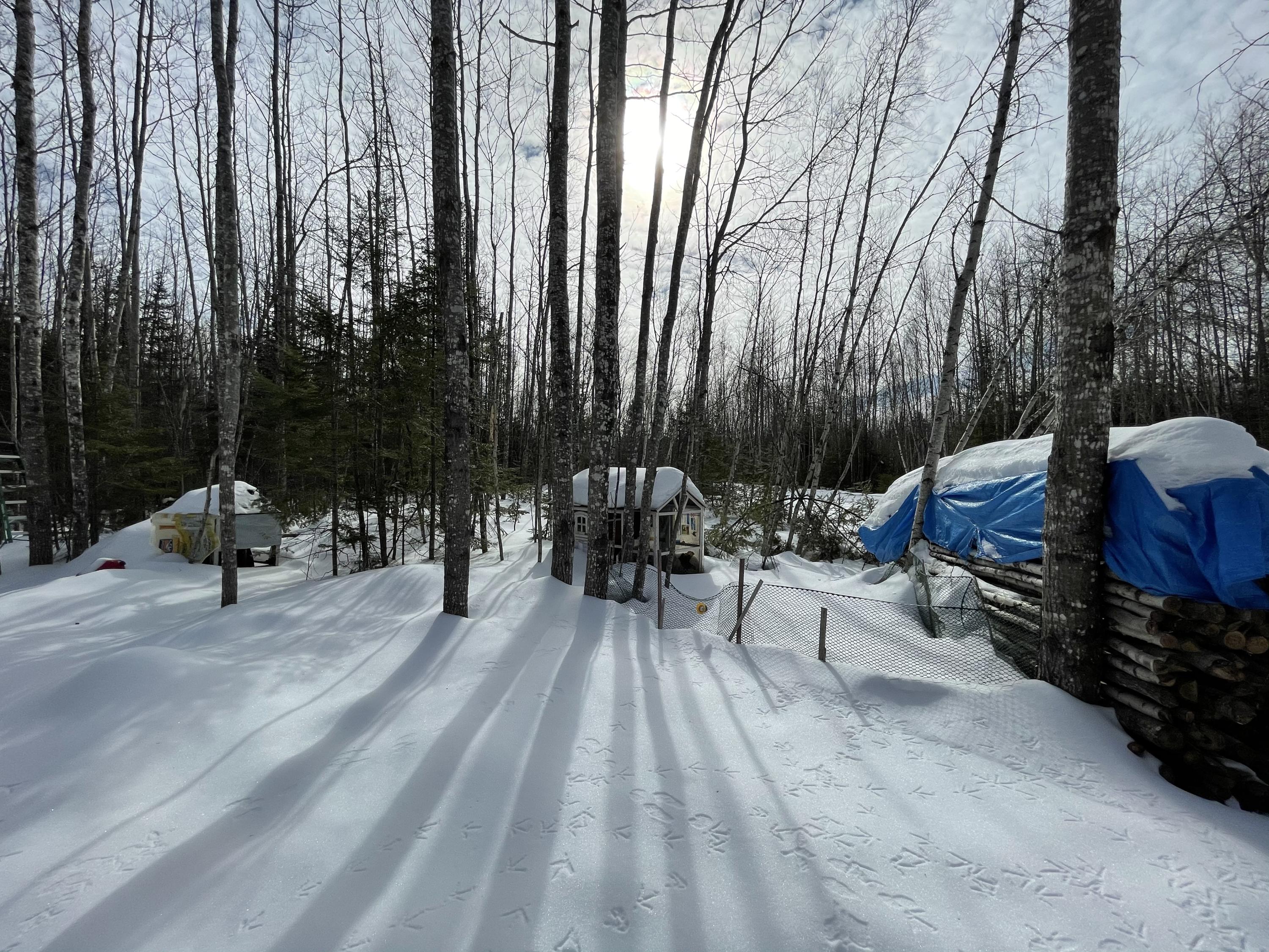 Off Off Tower Road Springfield, ME 04487 - Photo 11 of 15 0B190B2E-81F8-4B87-B6DE-048E8045404B