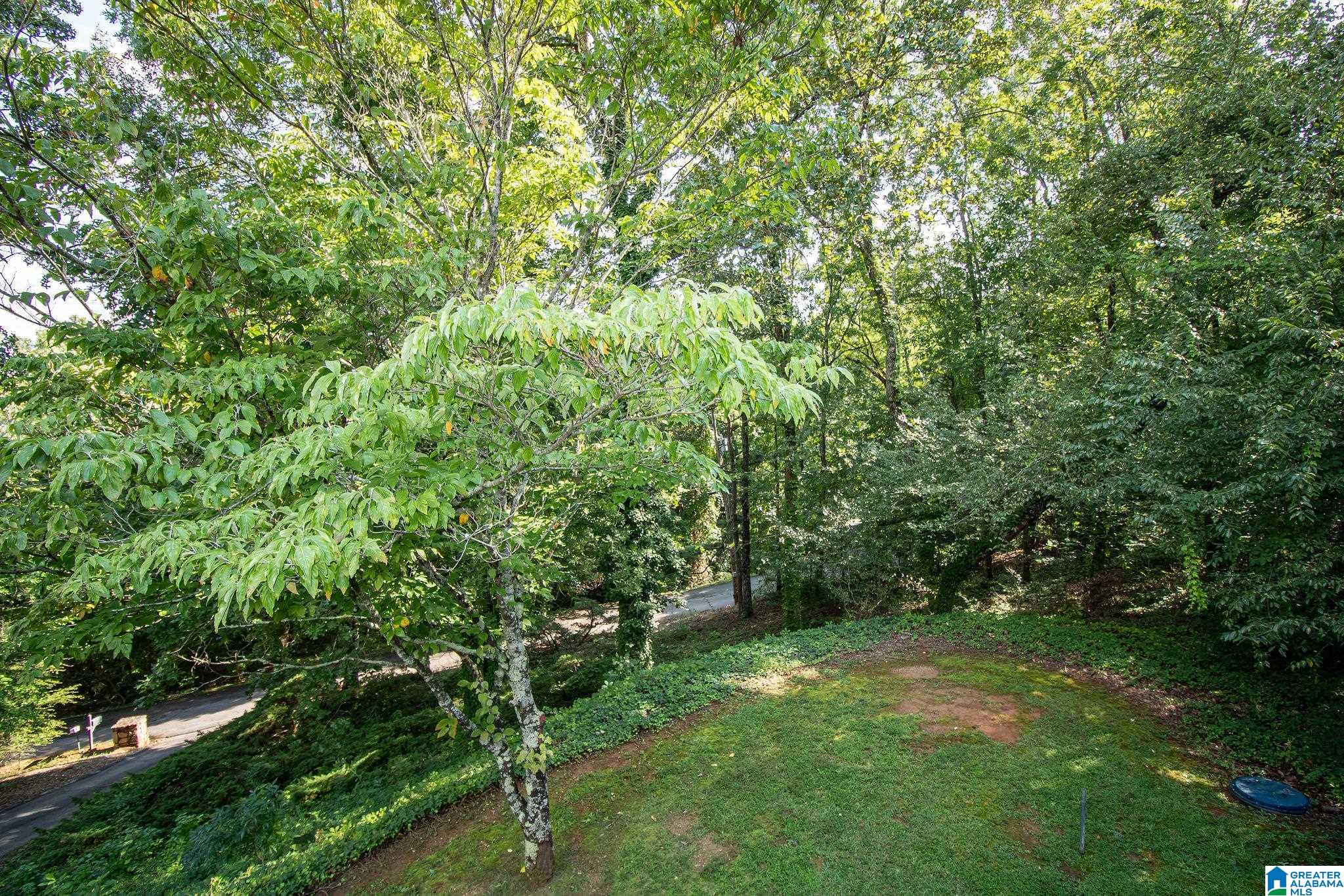 5 Booger Hollow Road Anniston, AL 36207 - Photo 33 of 43