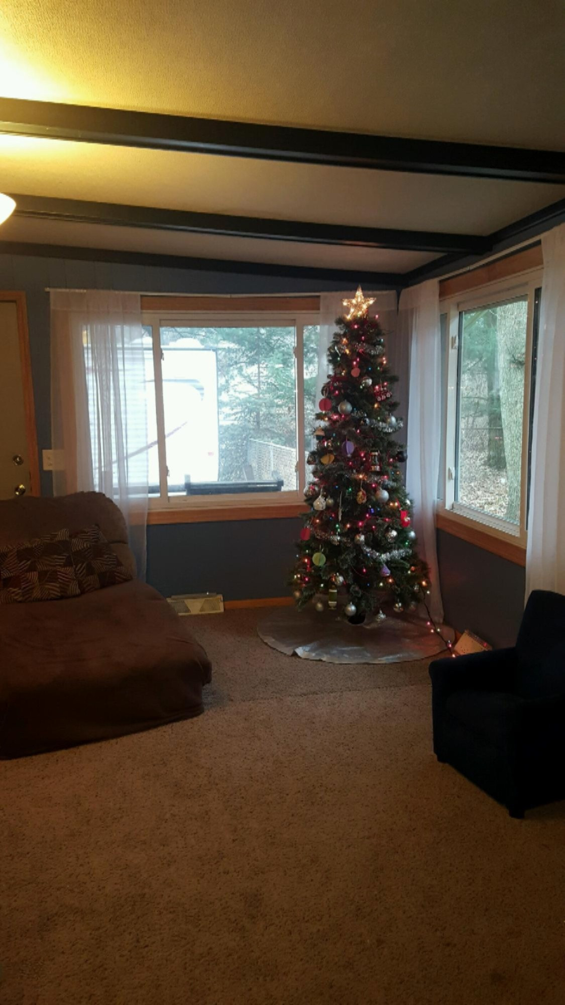 1362 Joslyn Road Muskegon, MI 49445 - Photo 3 of 37 Christmas tree