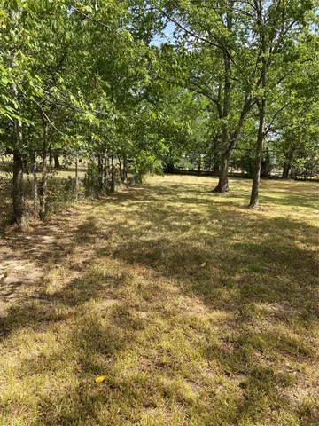 a view of yard with tree