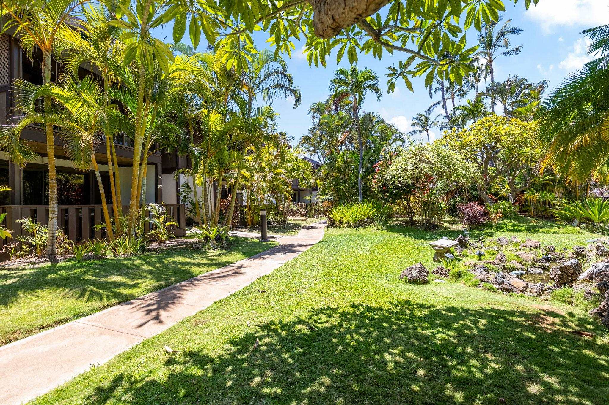 777 South Kihei Road, Unit 221G Kihei, HI 96753 - Photo 37 of 50 a view of a yard with plants
