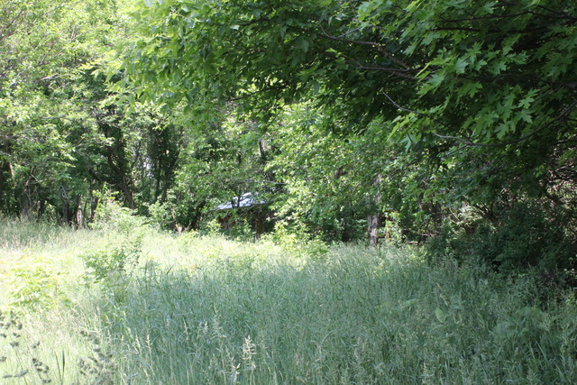 5249 Halley Road Rockford, IL 61101 - Photo 5 of 20 a view of a lush green field