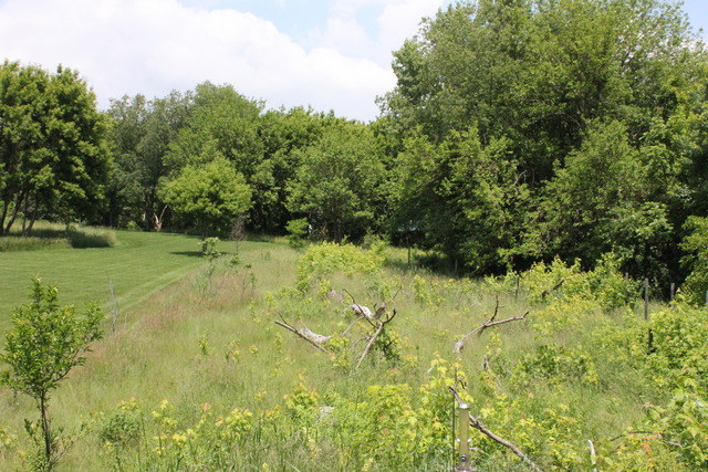 5249 Halley Road Rockford, IL 61101 - Photo 9 of 20 a view of a garden