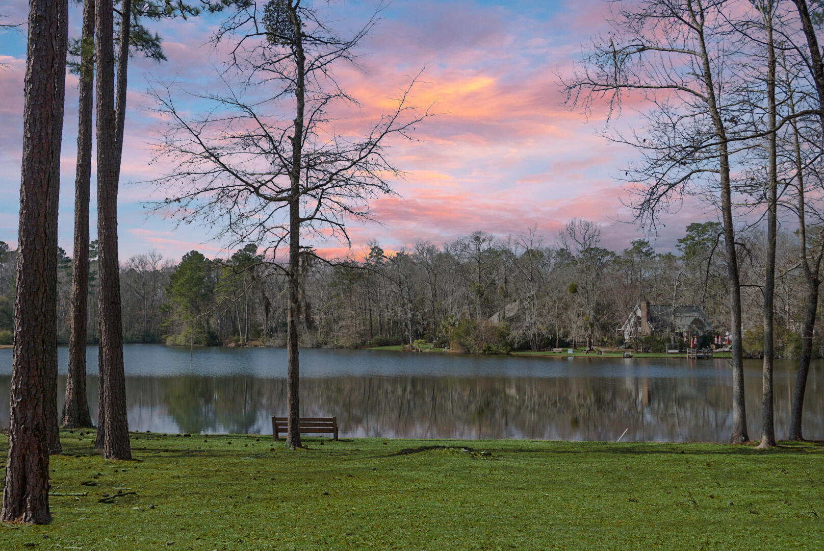 1 Santee Lakes Court Elloree, SC 29047 - Photo 1 of 79
