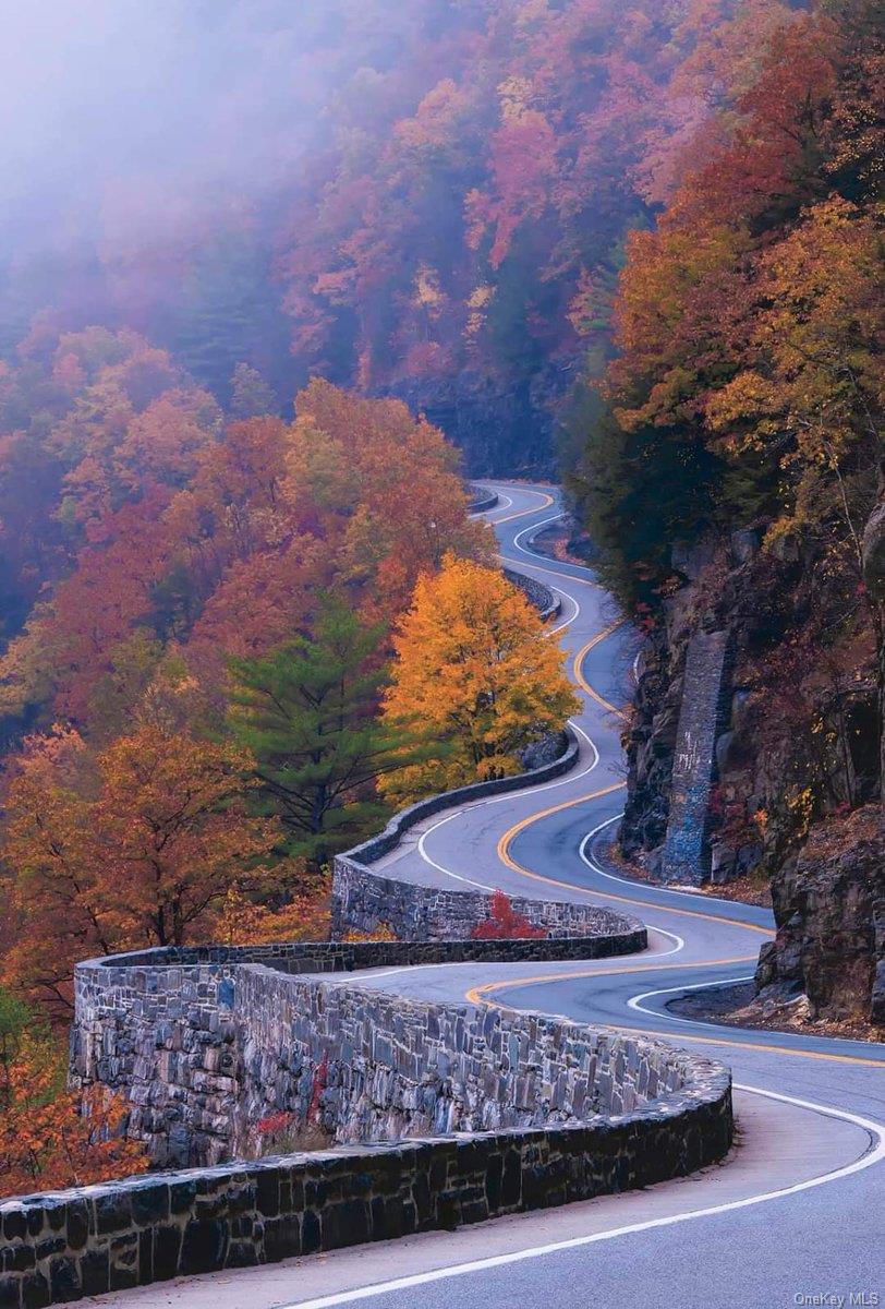 40 Beaver Brook Road Yulan, NY 12792 - Photo 15 of 25 a view of a yard with wooden fence