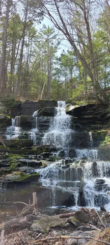 a view of water heater room with wooden floor