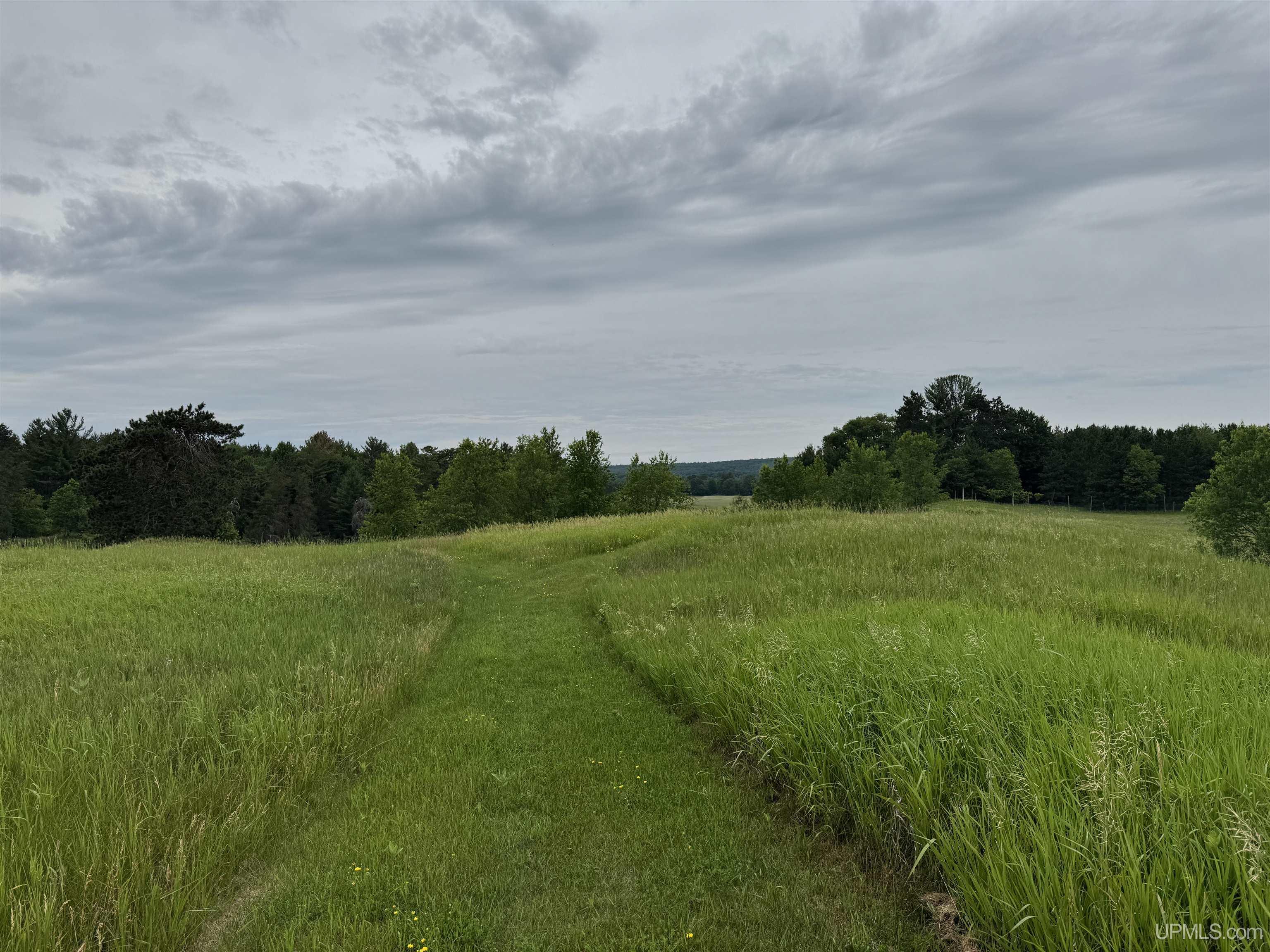 Tbd New York Lake Road Vulcan, MI 49892 - Photo 20 of 23