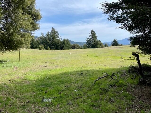 4001 Conklin Creek Road Ferndale, CA 95536 - Photo 21 of 125
