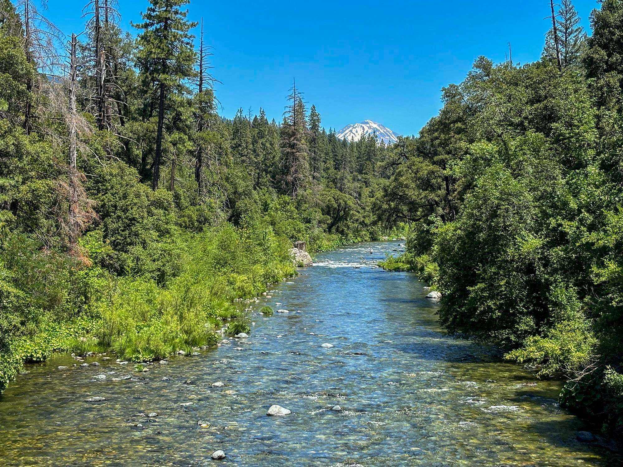 Girard Ridge Castella, CA 96017 - Photo 2 of 13 Gallery Image 2