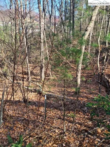 a view of a yard with plants and trees