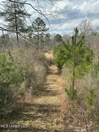 $280,000 | 6101 Hancock Road, Gloster, MS 39638