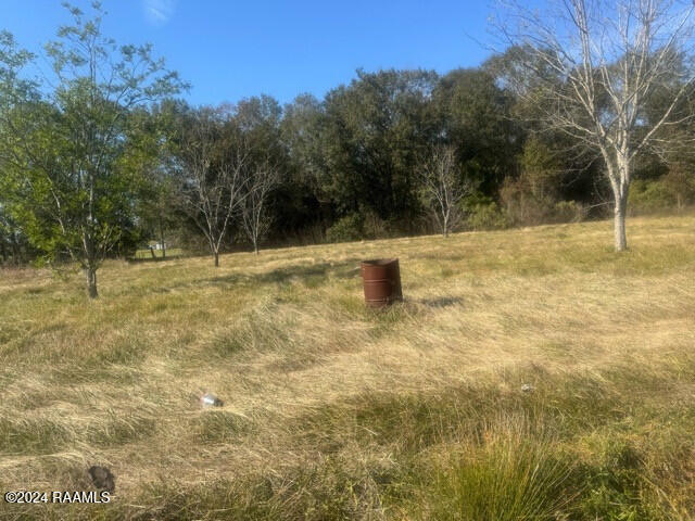 405 Rue Carnot Carencro, LA 70520 - Photo 3 of 7 IMG_5521