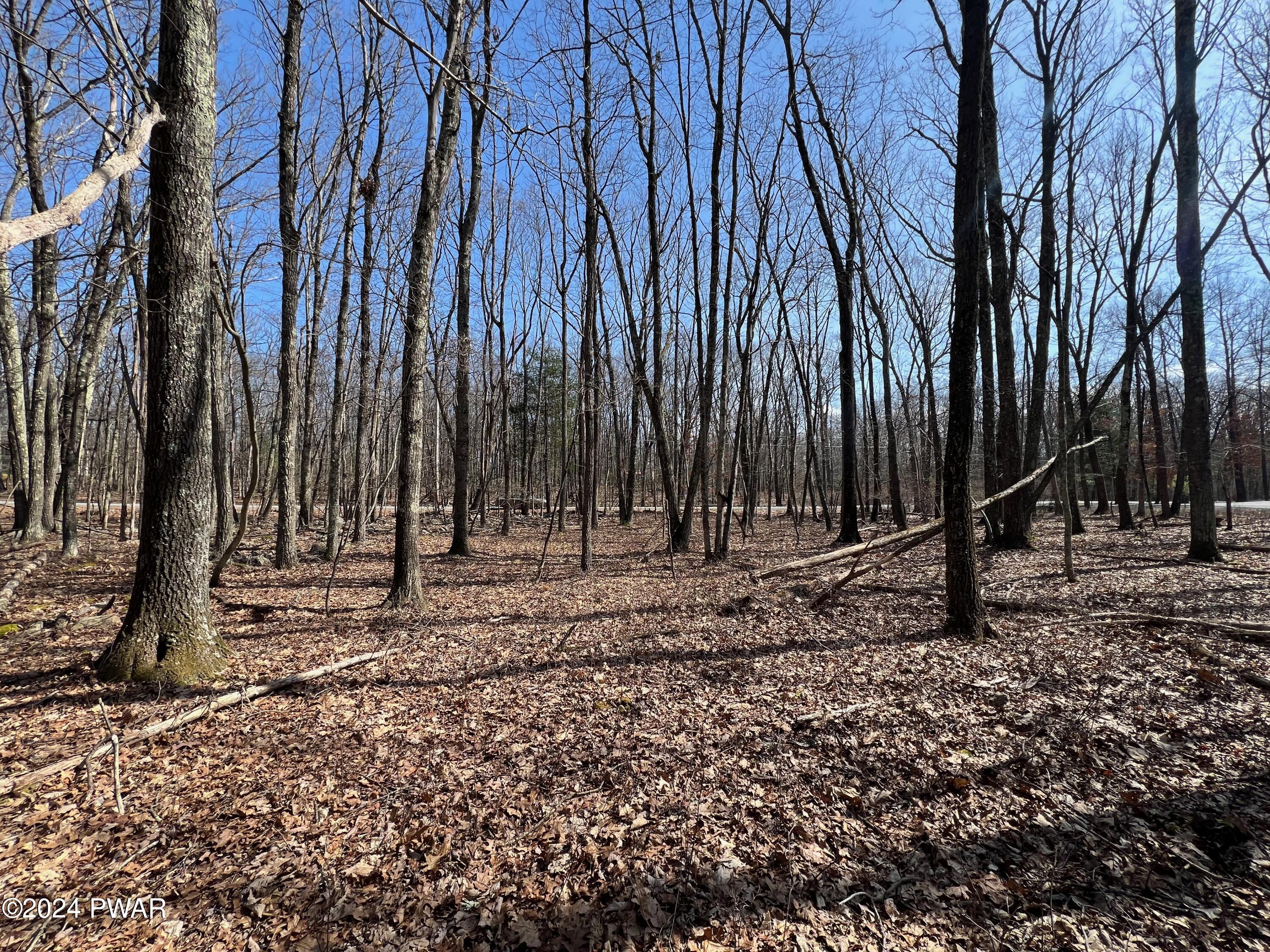 Lot 327 Ridgewood Lane Hawley, PA 18428 - Photo 2 of 30