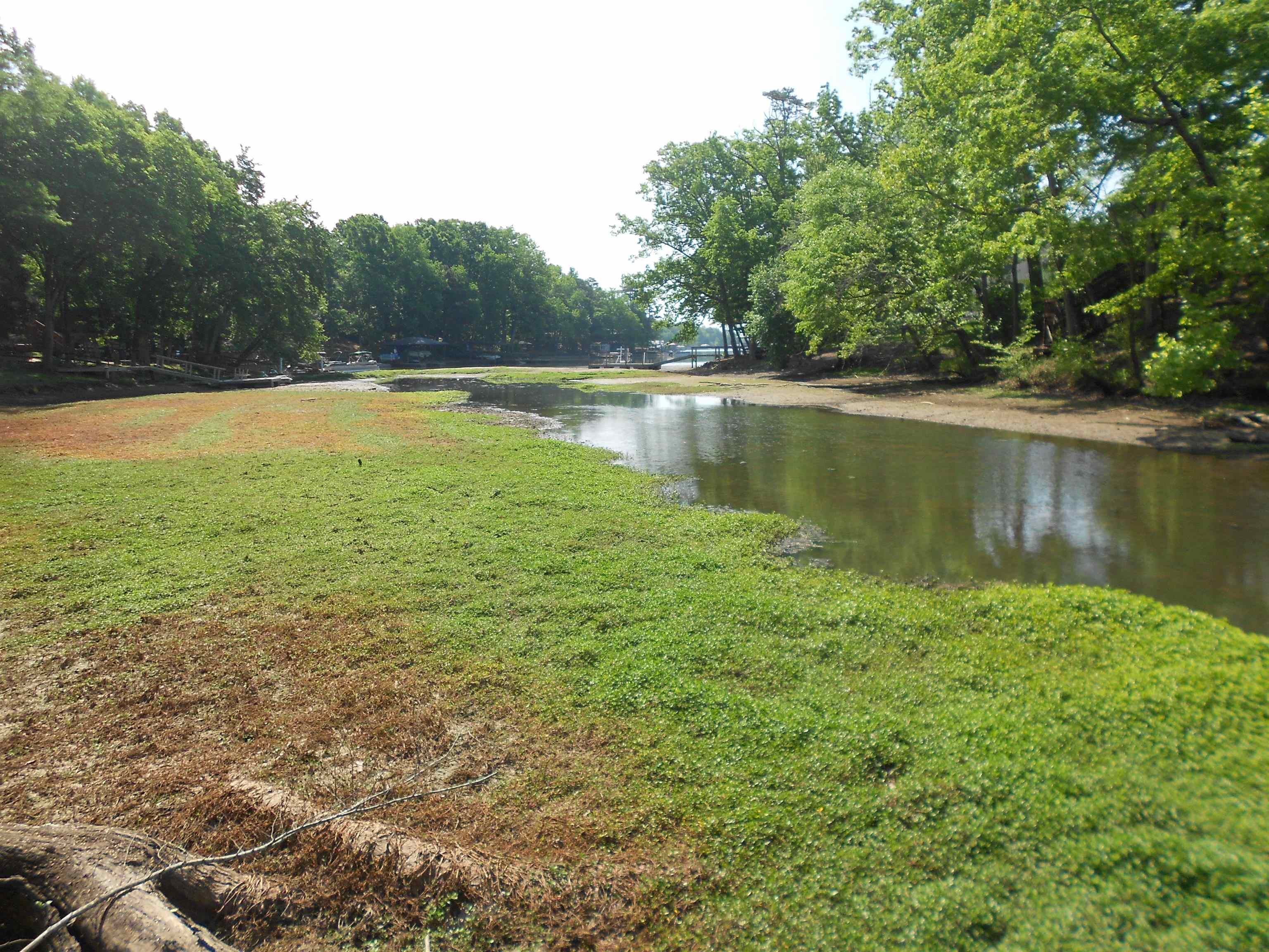 Lot 15-16 Cypress Road Clover, SC 29710 - Photo 3 of 15