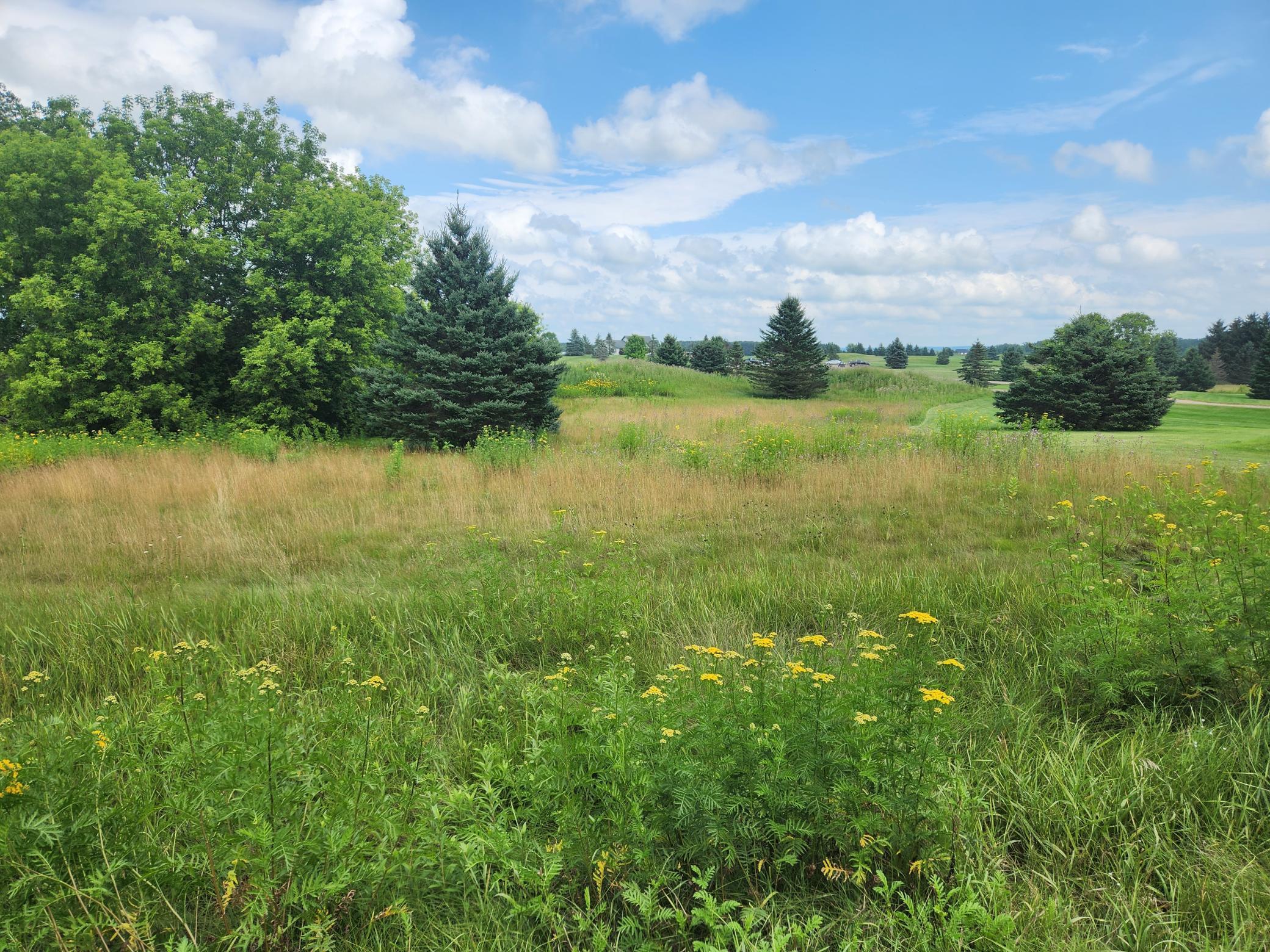 20 20 1/2 Street Rice Lake, WI 54868 - Photo 1 of 1 Gallery Image 1