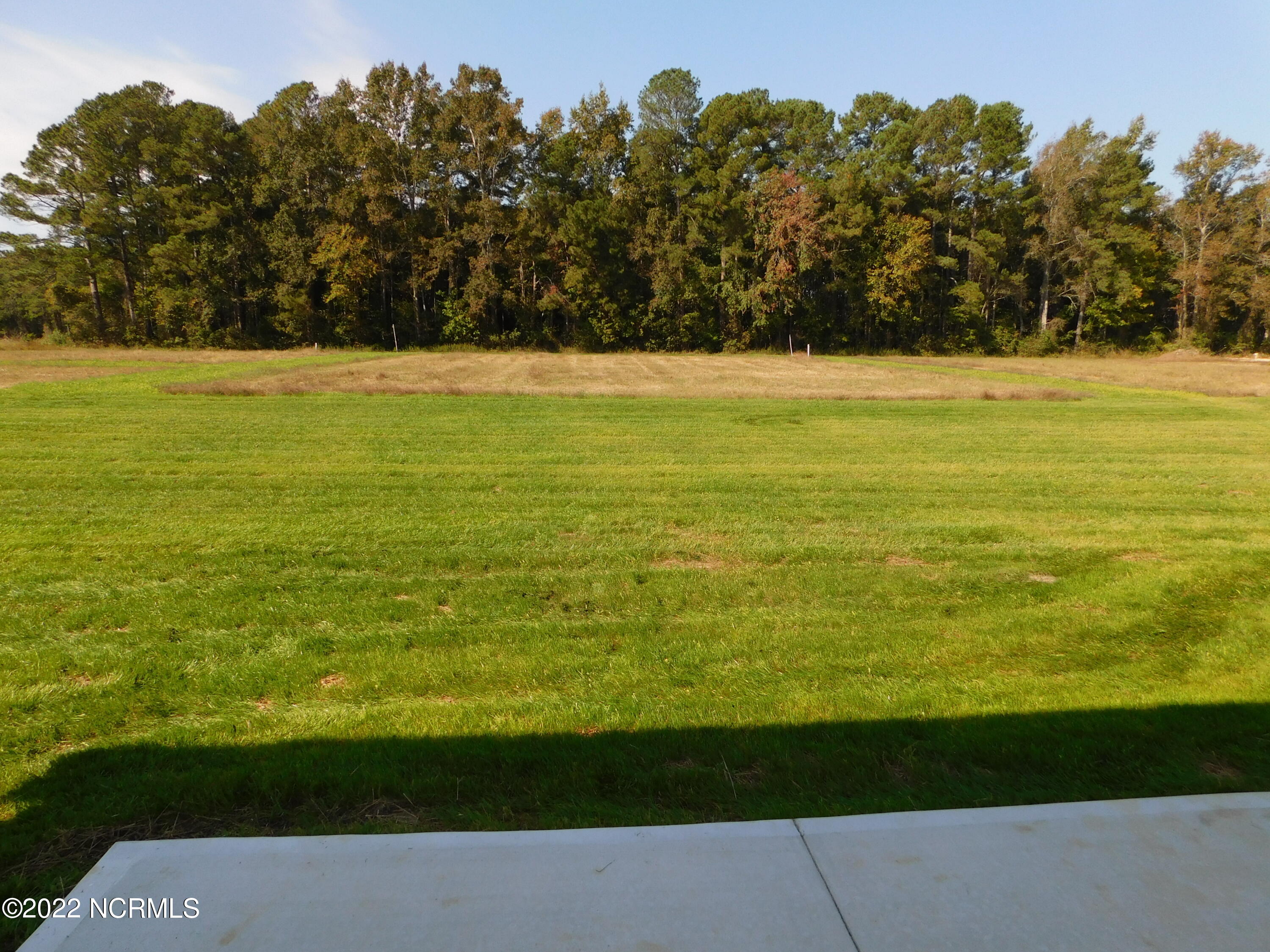 4125 Nahunta Road Pikeville, NC 27863 - Photo 22 of 22 Backyard