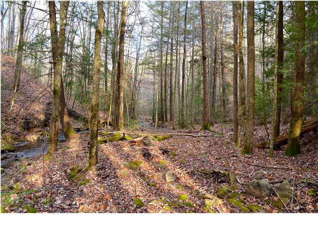 69-ac Sunshine Road Palmer, TN 37365 - Photo 6 of 34 Additional Photo