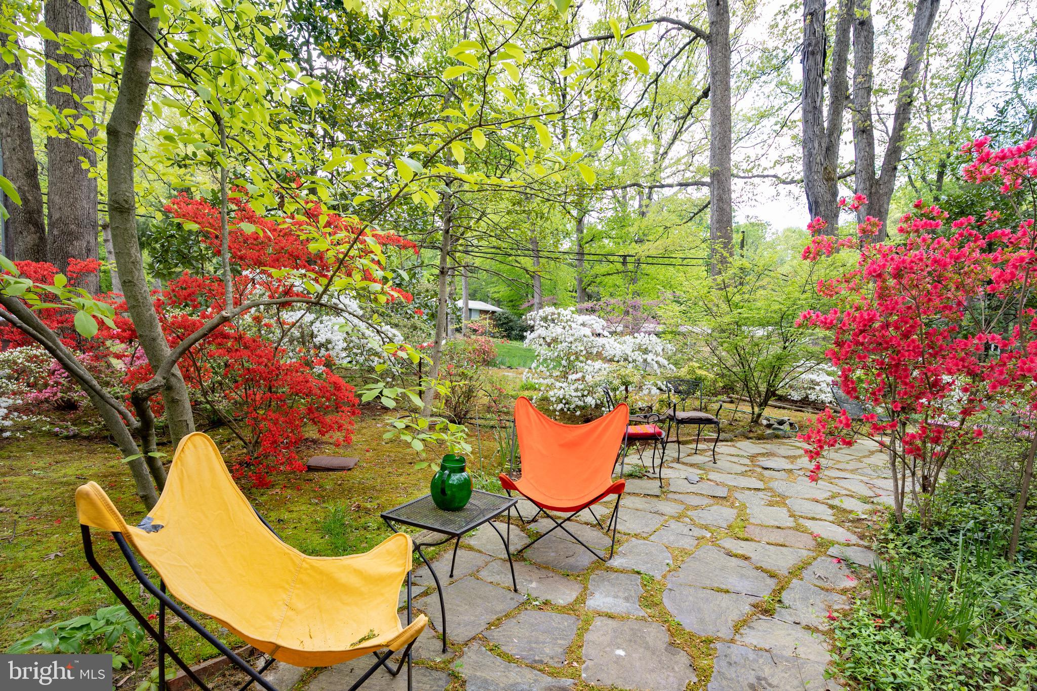 7203 Beechwood Road Alexandria, VA 22307 - Photo 2 of 32 Gallery Image 2