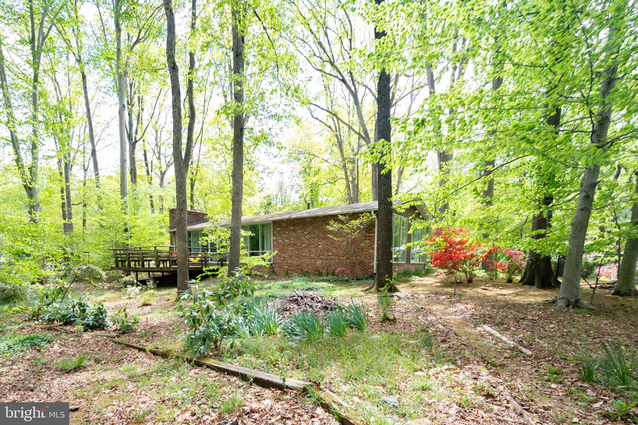 7203 Beechwood Road Alexandria, VA 22307 - Photo 13 of 32 Gallery Image 13