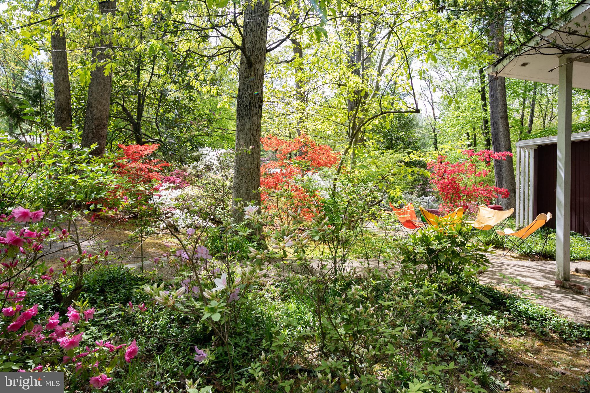 7203 Beechwood Road Alexandria, VA 22307 - Photo 17 of 32 Gallery Image 17