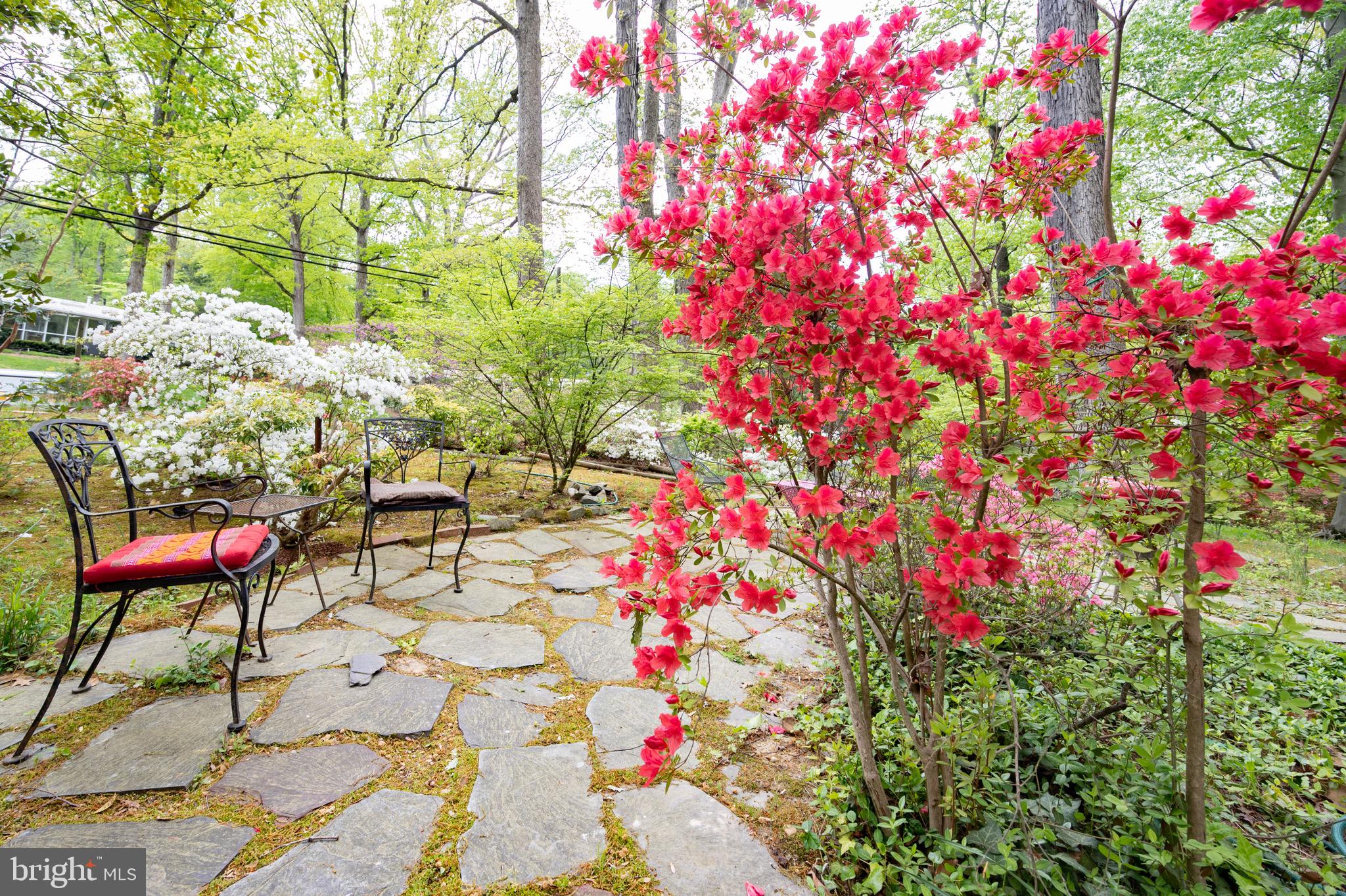 7203 Beechwood Road Alexandria, VA 22307 - Photo 3 of 32 Gallery Image 3