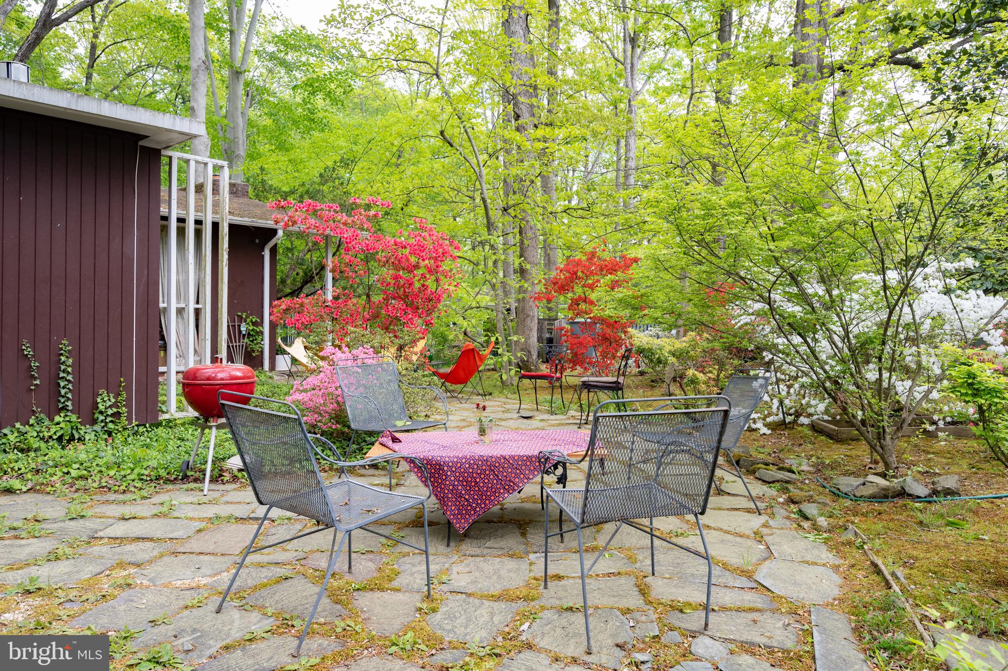 7203 Beechwood Road Alexandria, VA 22307 - Photo 5 of 32 Gallery Image 5