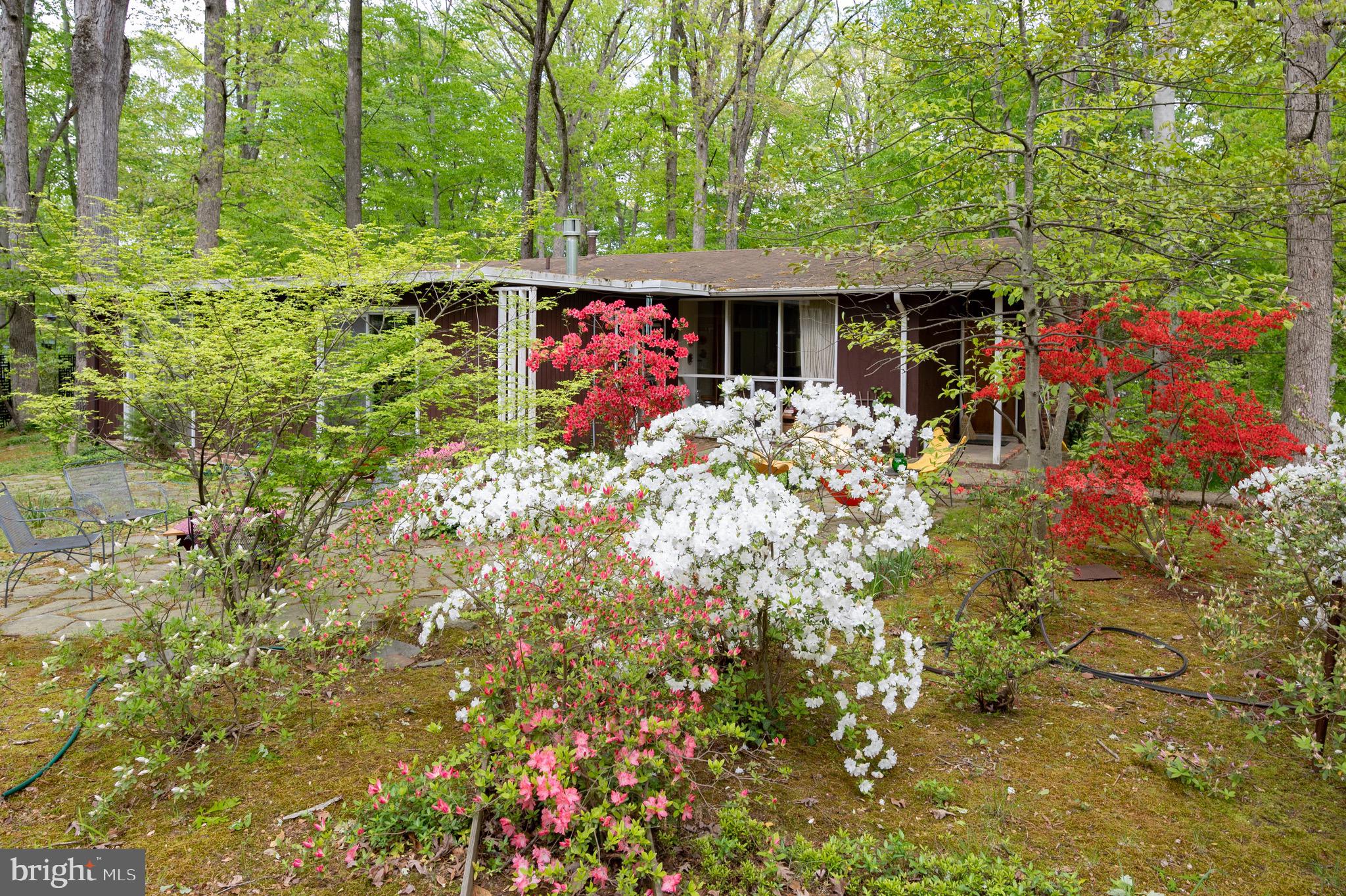7203 Beechwood Road Alexandria, VA 22307 - Photo 7 of 32 Gallery Image 7