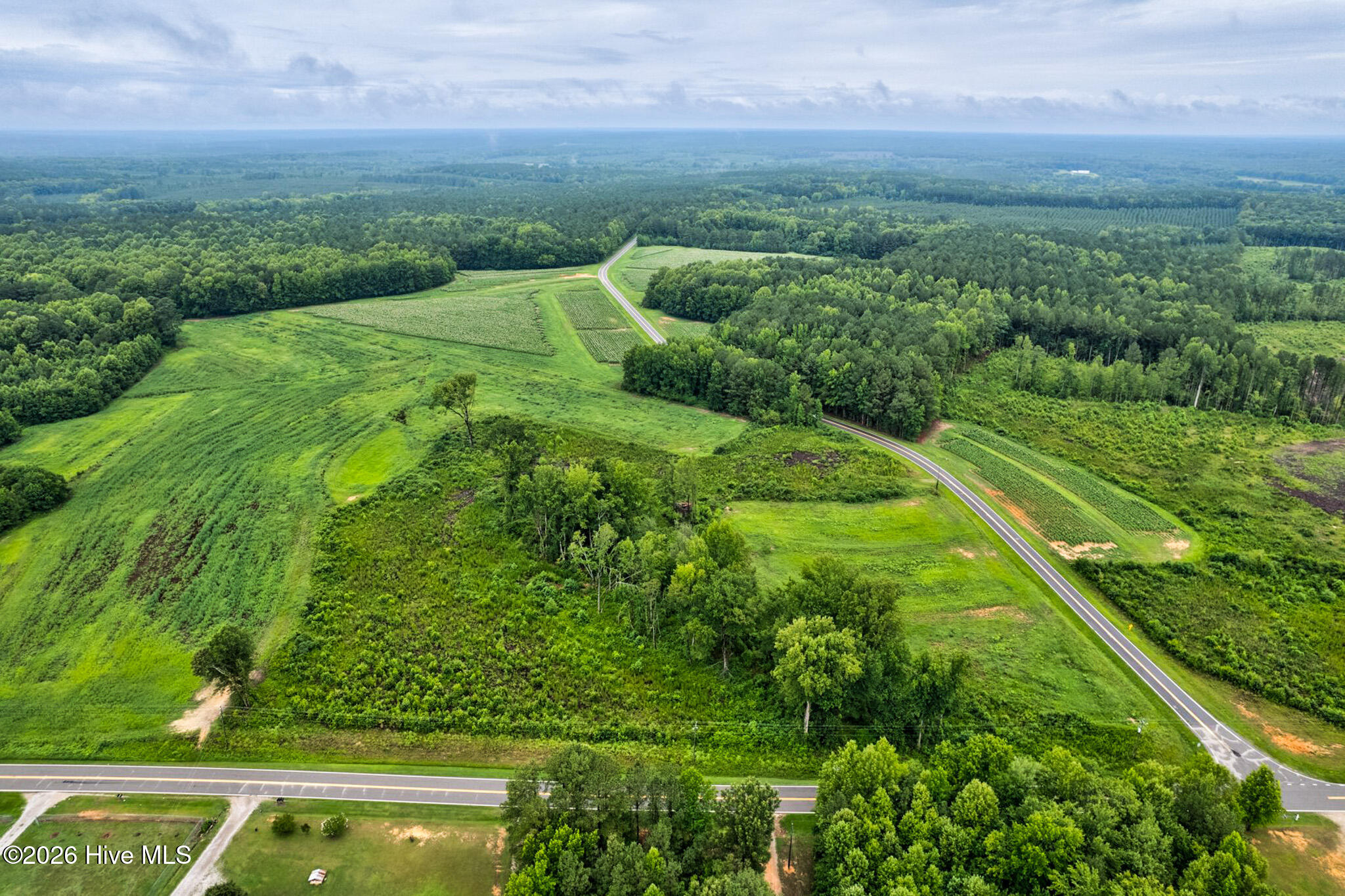 Lot 7 Murray Loop Road Whitakers, NC 27891 - Photo 3 of 4 Gallery Image 3