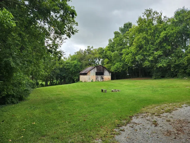 a view of a garden with large trees