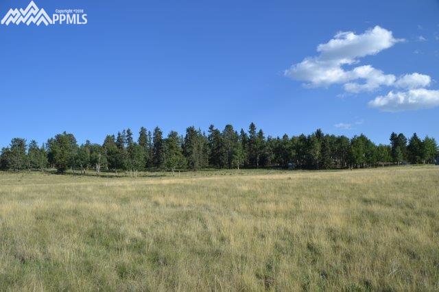 Tbd Tbd Robin Hood Rd Divide Divide, CO 80814 - Photo 5 of 33