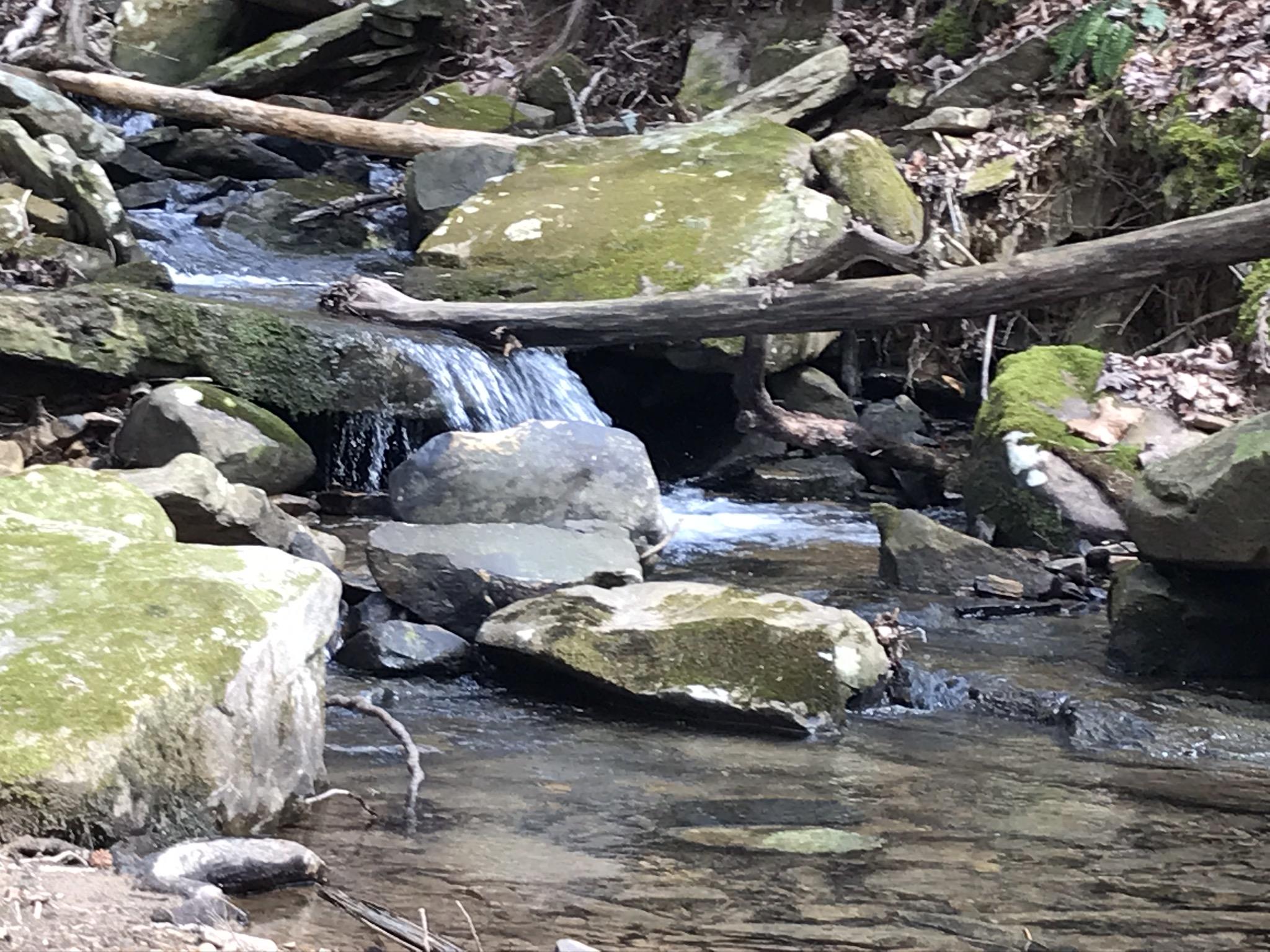 FA1EA206-F000-4133-8840-F27FD6CAACB4