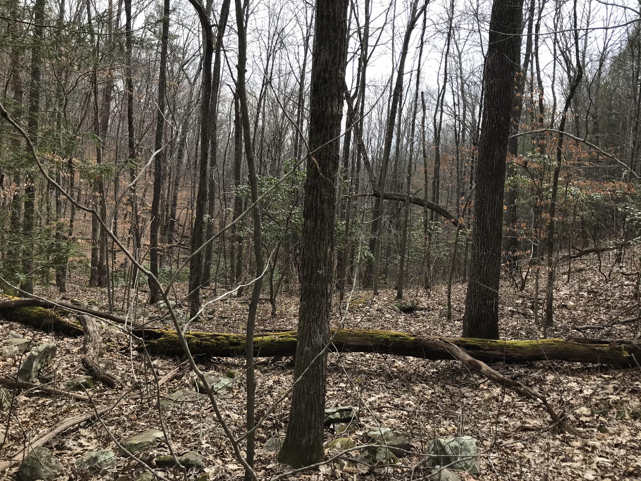 89 Hobbstown Road, Unit 89 Dunlap, TN 37327 - Photo 11 of 21 CAB48A39-B1A0-4BA4-8DC6-68D2318CA32B