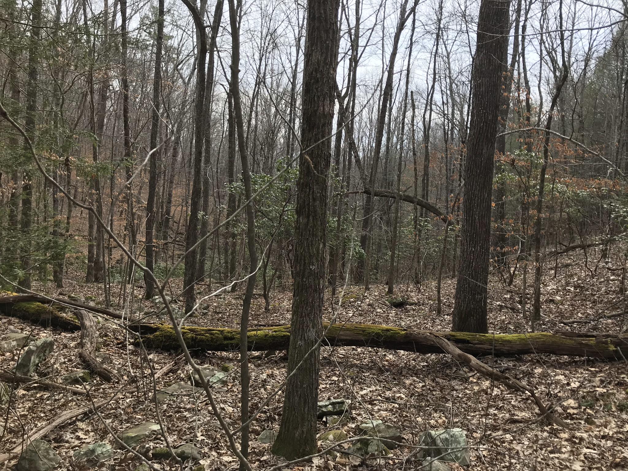 89 Hobbstown Road, Unit 89 Dunlap, TN 37327 - Photo 12 of 21 78C78139-DCB2-4886-BE16-DB6C5D41883E