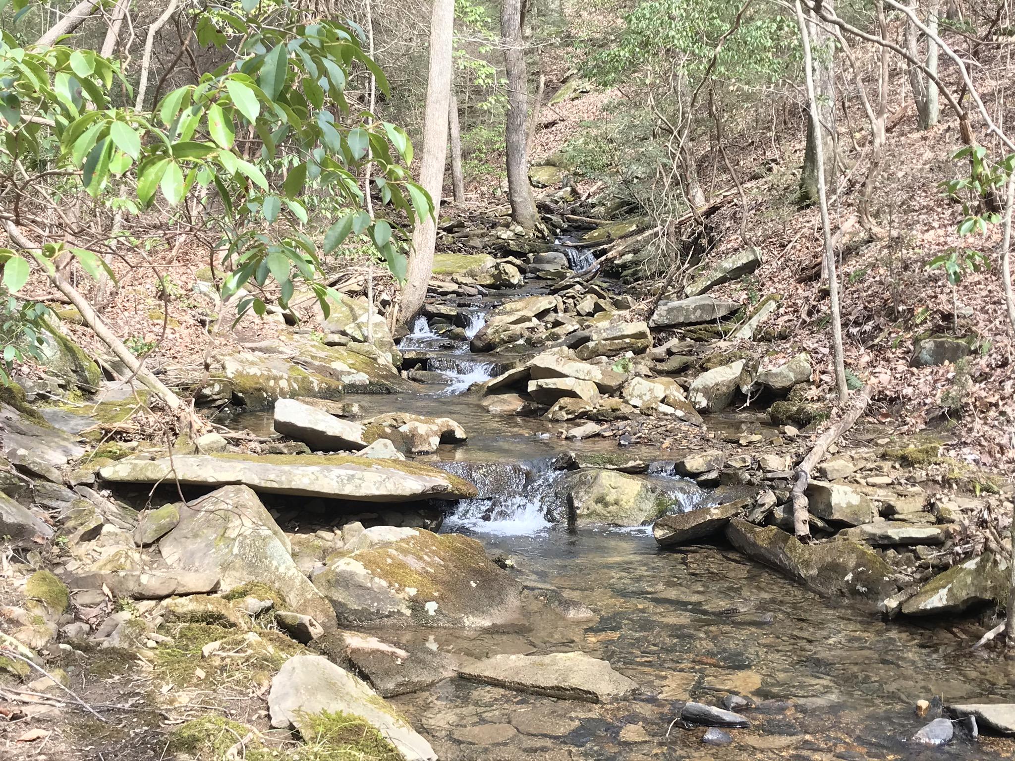 89 Hobbstown Road, Unit 89 Dunlap, TN 37327 - Photo 13 of 21 53EE054C-57C8-4C8B-8A8B-05865A1D2601