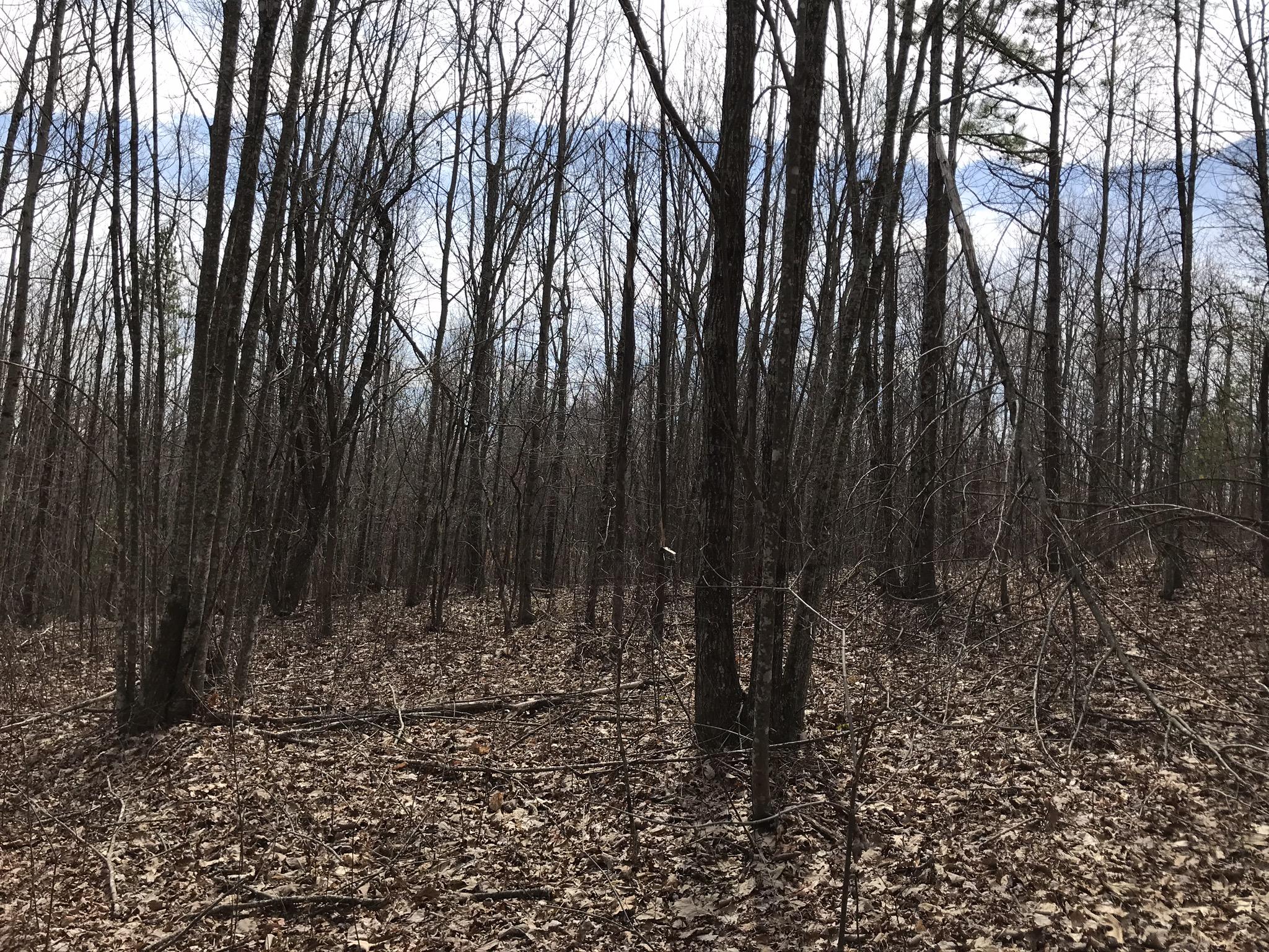 89 Hobbstown Road, Unit 89 Dunlap, TN 37327 - Photo 15 of 21 8EB40869-20AE-4CC4-A6C9-7C79173BBD31